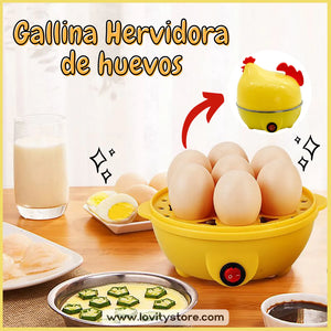 Hervidora de Huevos - Gallina